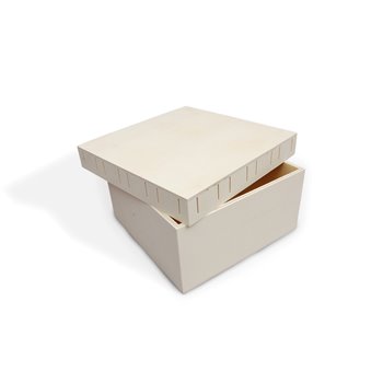 CAJA 20X20X9.5X0.5CM