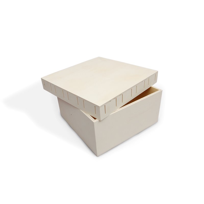 CAJA 20X20X9.5X0.5CM