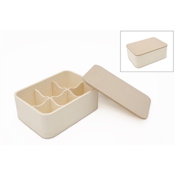 CAJA 6DIV 22.5X16X8.5CM