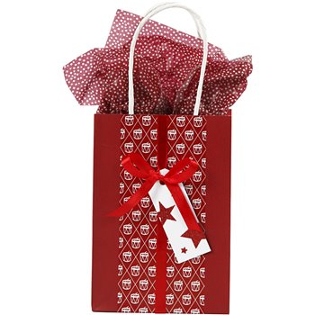 Bolsa de papel - 10 unidades