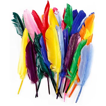Plumas - 250 unidades