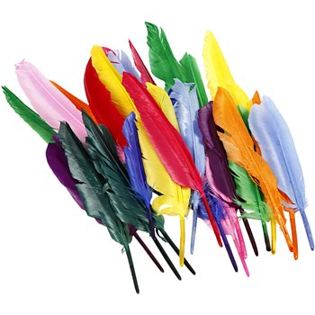 Plumas - 250 unidades