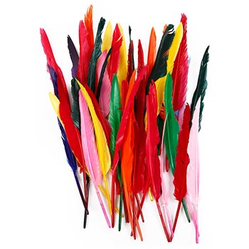 Plumas - 100 unidades