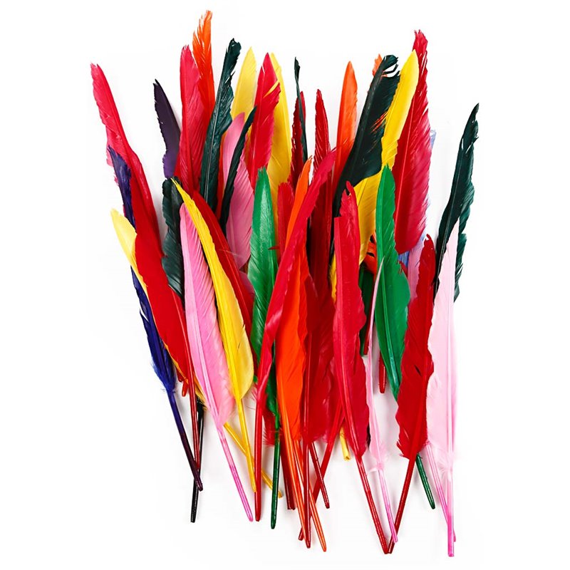 Plumas - 100 unidades