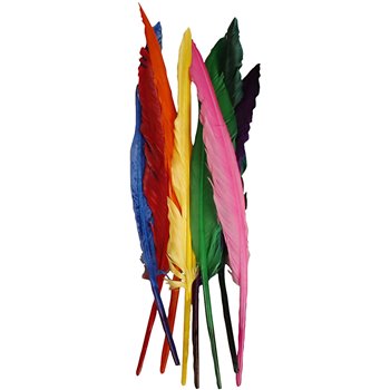 Plumas - 100 unidades