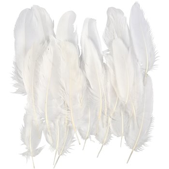 Plumas - 350 unidades