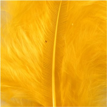 Plumas - 15 unidades