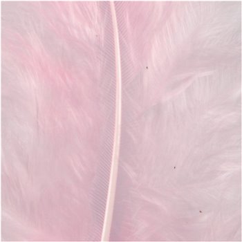 Plumas - 15 unidades