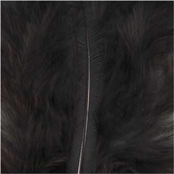 Plumas - 15 unidades