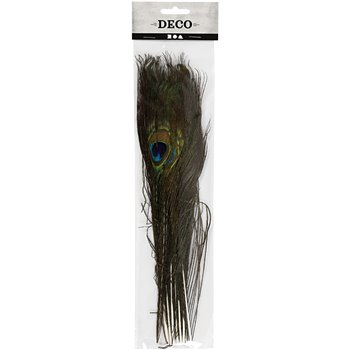 Pluma de pavo real - 10 unidades
