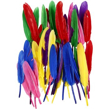 Plumas - 48 unidades