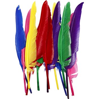 Plumas - 12 unidades