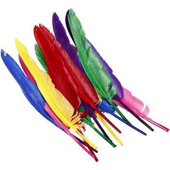 Plumas - 12 unidades