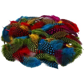 Plumas de gallina de guinea - 50 gr