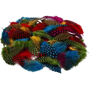 Plumas de gallina de guinea - 50 gr