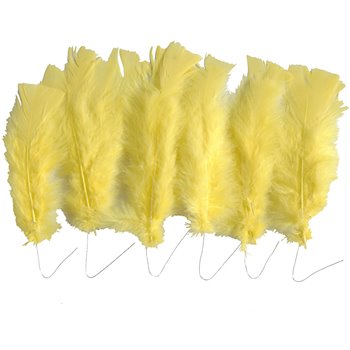 Plumas - 18 fajo
