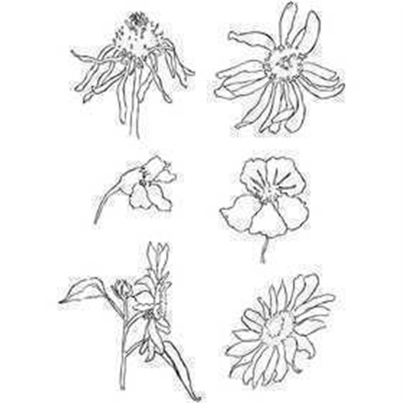 Sellos de silicona - 1 hoja