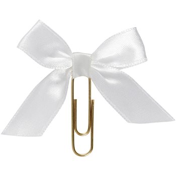 Clips de metal - 5 unidades