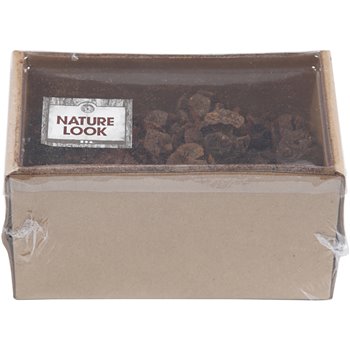 Cono de ciprés - 110 gr