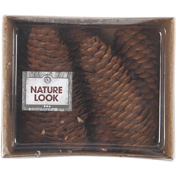 Cono de abeto - 100 gr