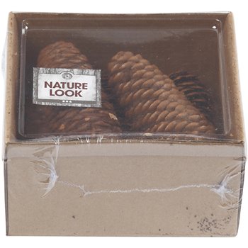 Cono de abeto - 100 gr