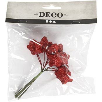 Estrella - 12 unidades