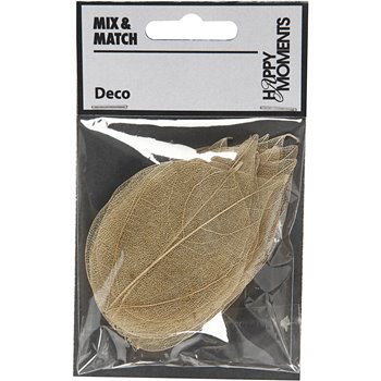 Esqueleto de hojas - 20 unidades