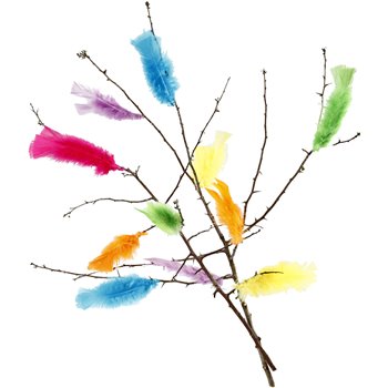 Plumas - 18 fajo