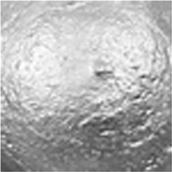 Pintura Acrílica A-Color  - 500 ml