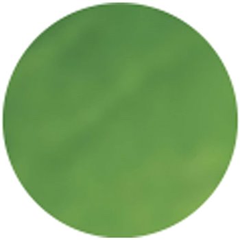 Textile Color - 50 ml