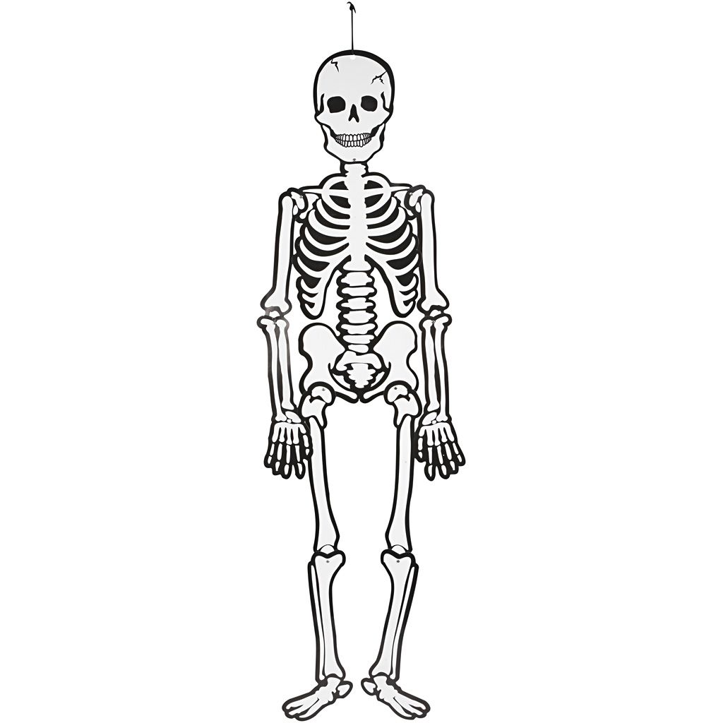 Esqueleto 120cm