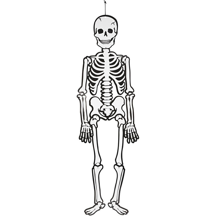 Esqueleto 120cm