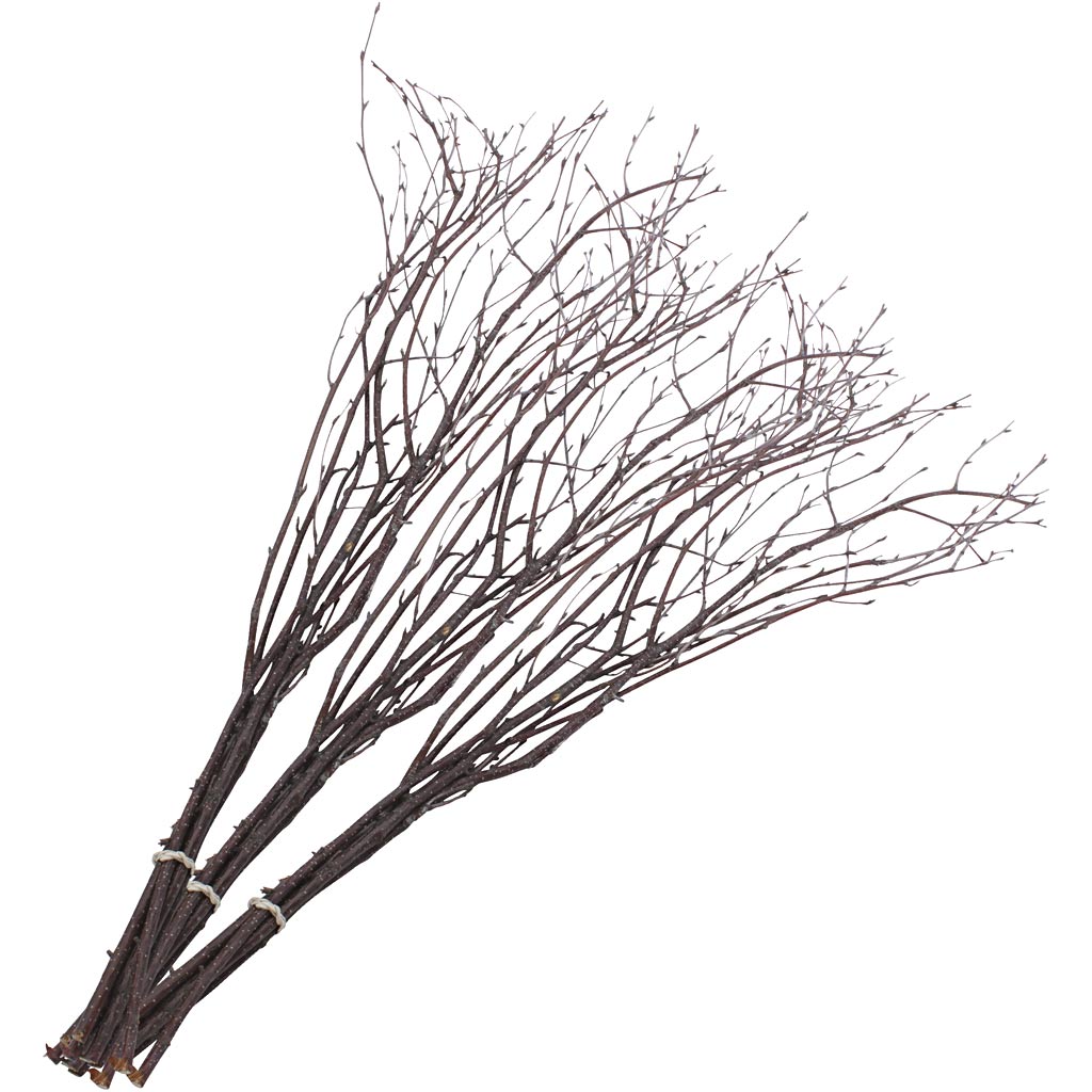 Ramas de abedul L: 50-60 cm — 20 ud (1 pack)