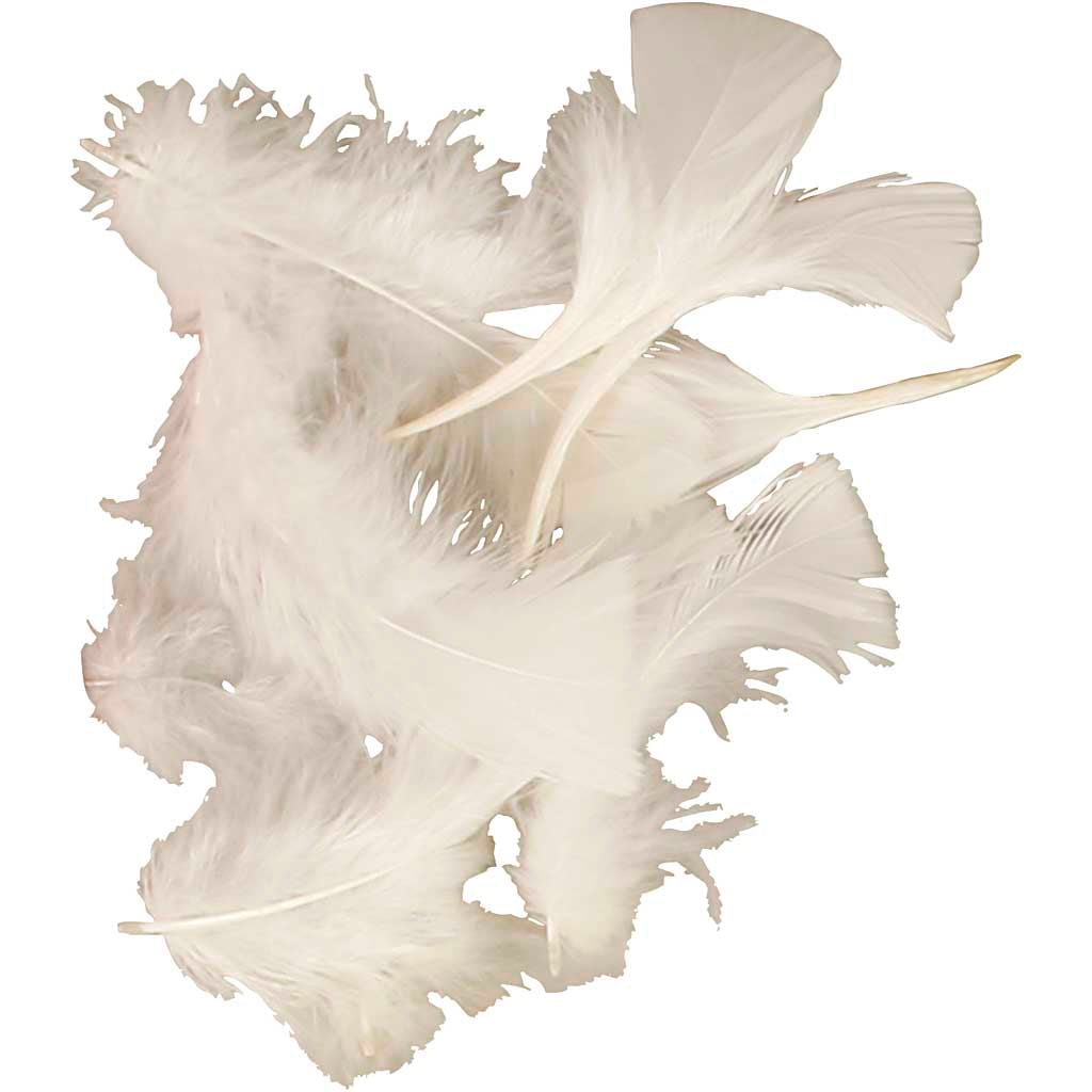Plumón blanco 50 g