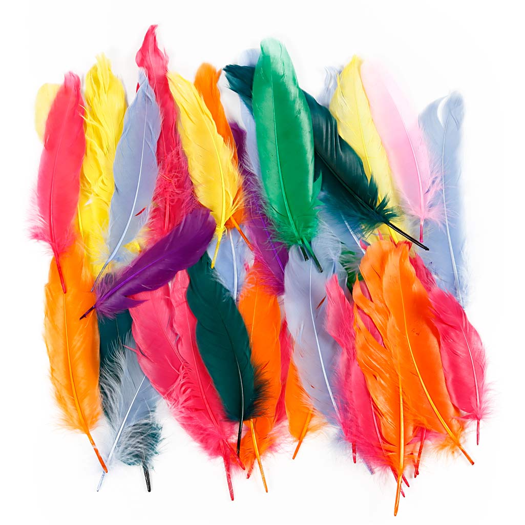 Plumas decorativas colores surtidos L: 12-15 cm — 350 ud (1 pack)