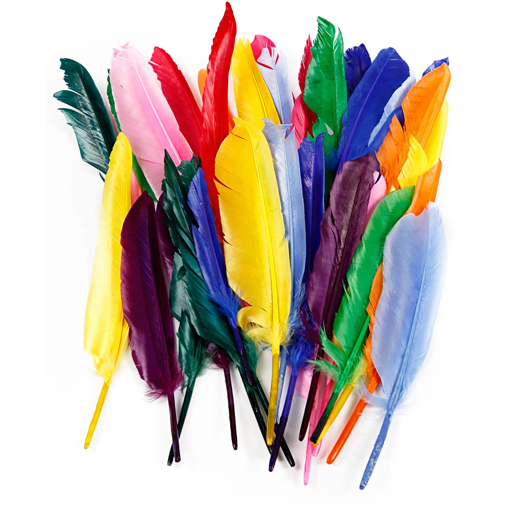 Plumas decorativas L: 17-20 cm — 250 ud (1 pack)