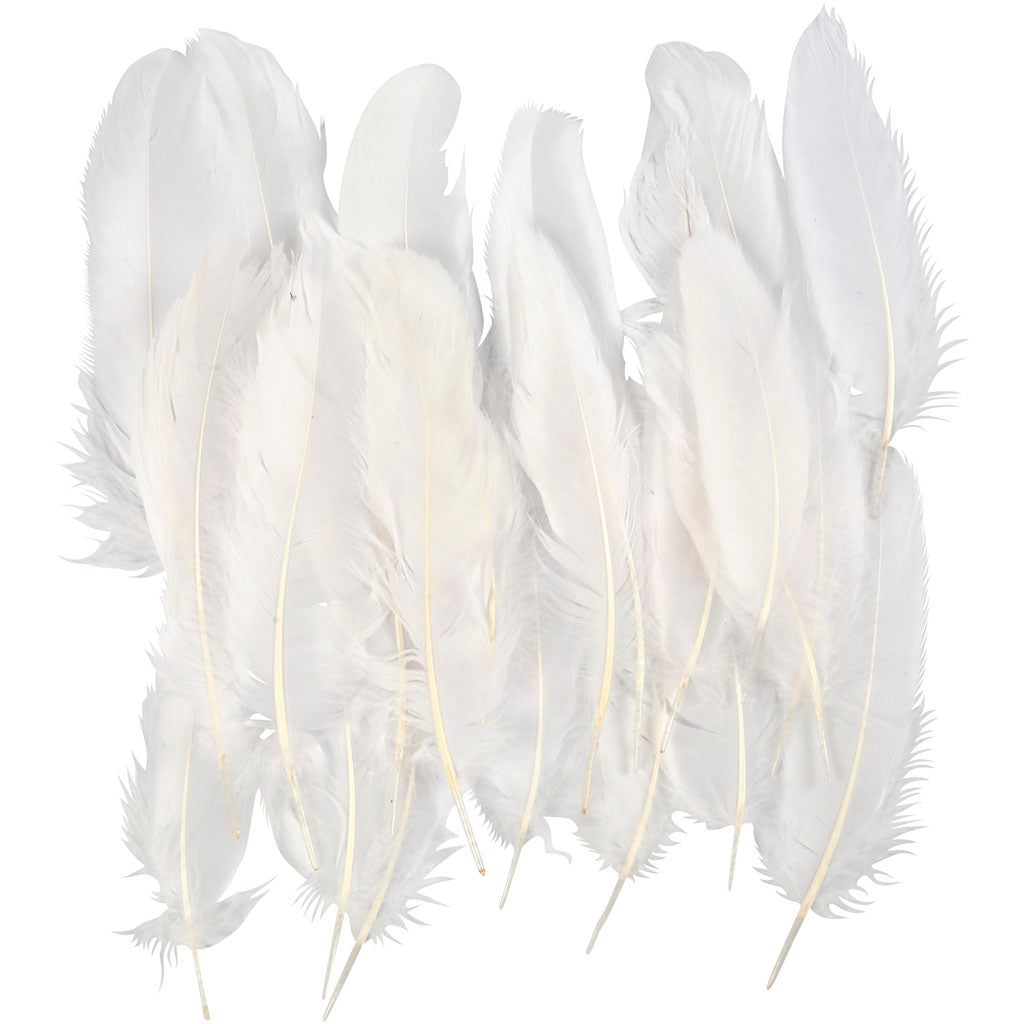 Plumas decorativas blanco — 350 ud (1 pack)