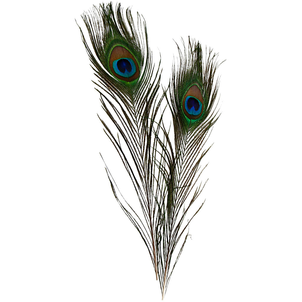 Plumas de pavo real L: 25-30 cm — 10 ud (1 pack)