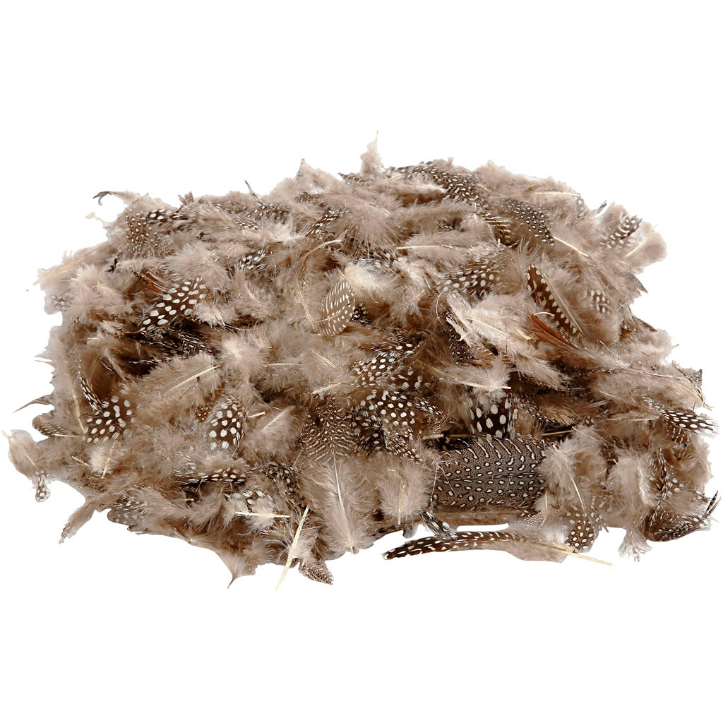 Plumas de pintada natural 50 g