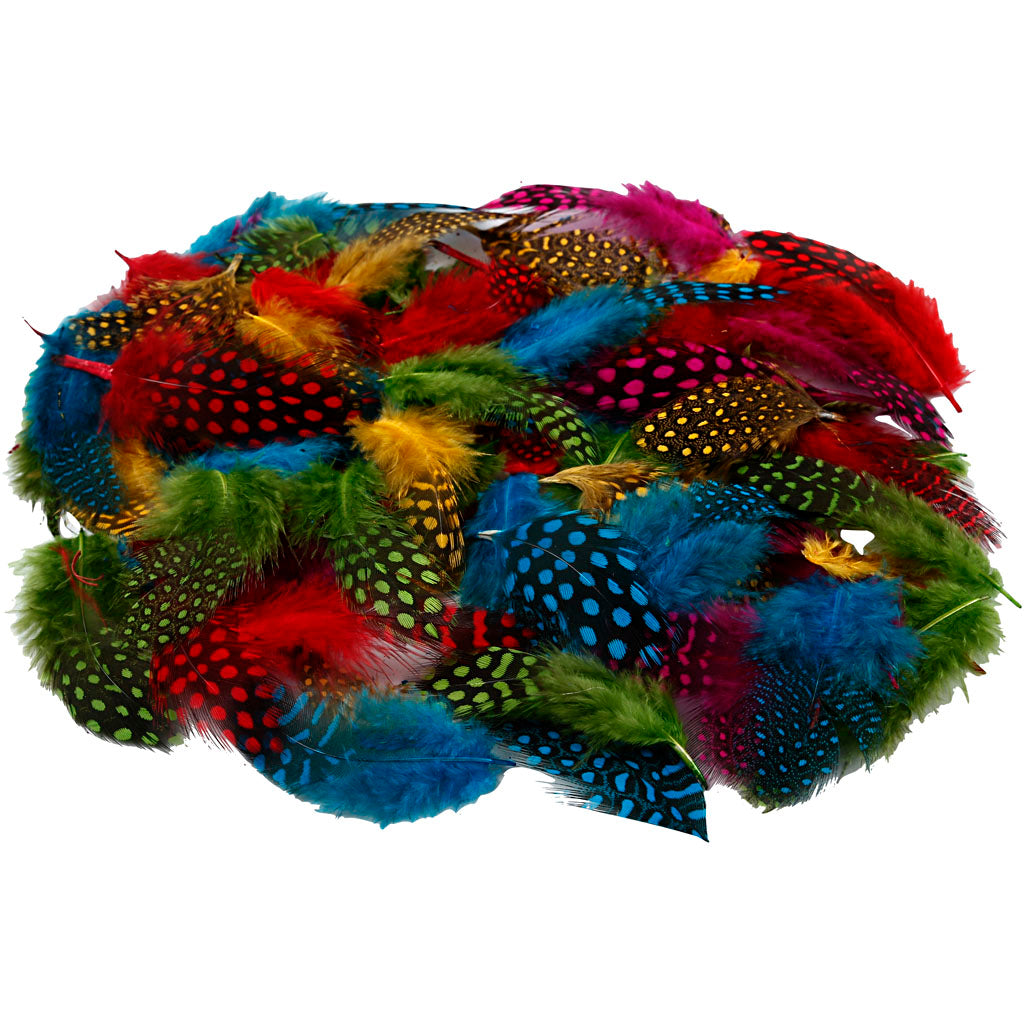 Plumas de pintada colores surtidos 50 g