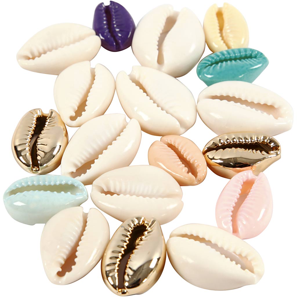 Conchas colores surtidos L: 20 mm — 75 ud (1 pack)