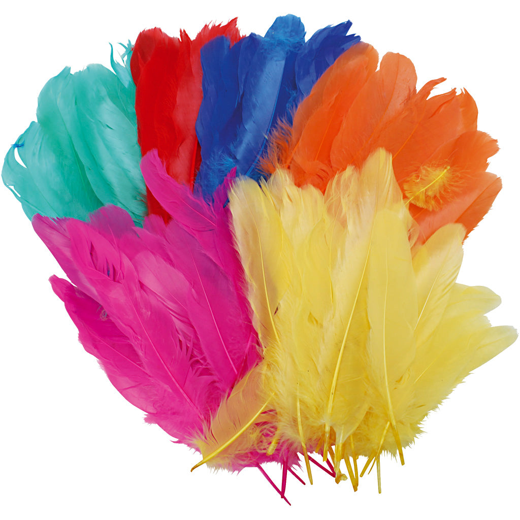Plumas decorativas colores surtidos L: 8-14 cm — 120 ud (1 pack)