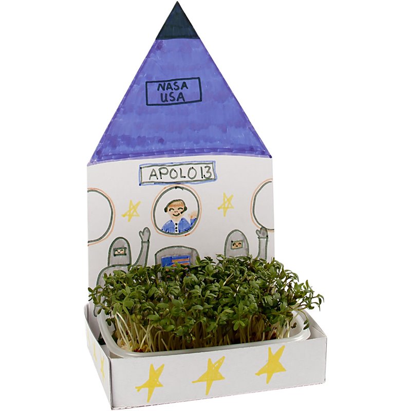 Vivero con formas - 6 set