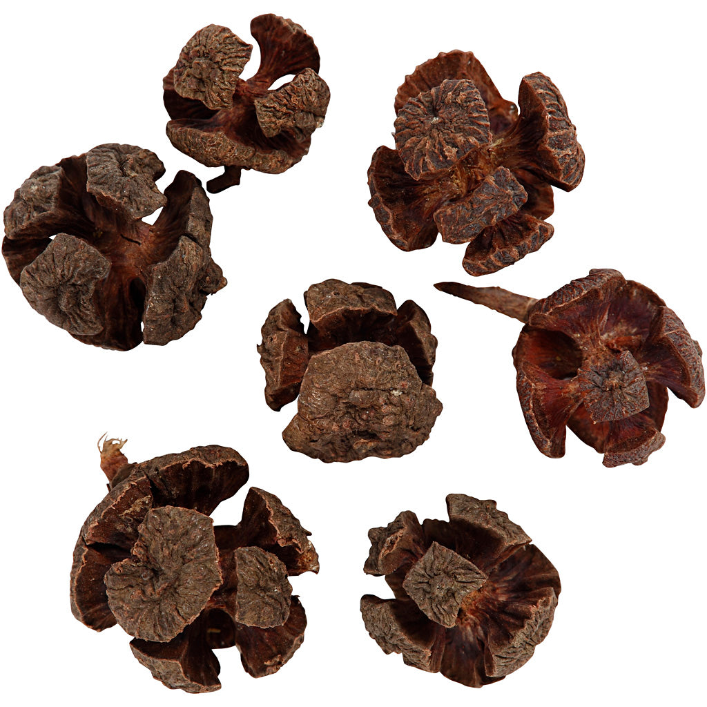 Cono de ciprés - 110 gr