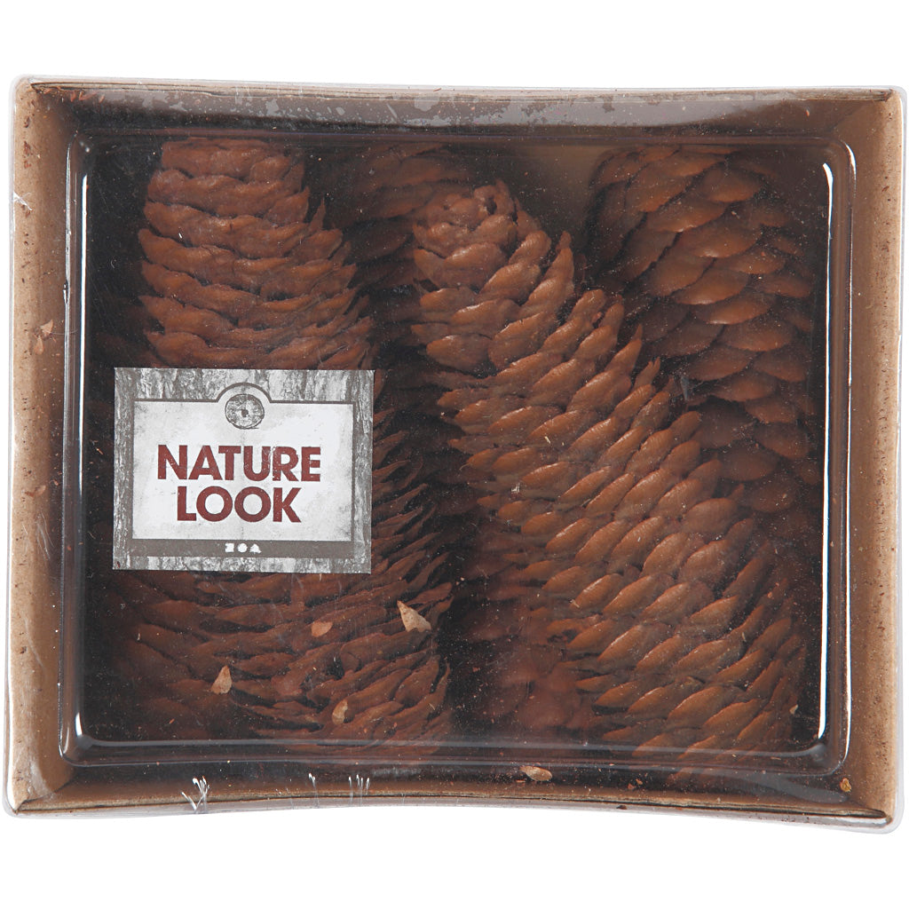 Piña de abeto - 100 gr