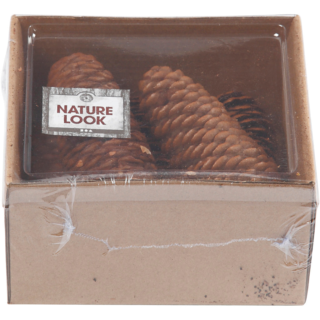 Piña de abeto - 100 gr