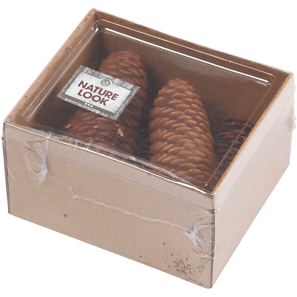 Piña de abeto - 100 gr